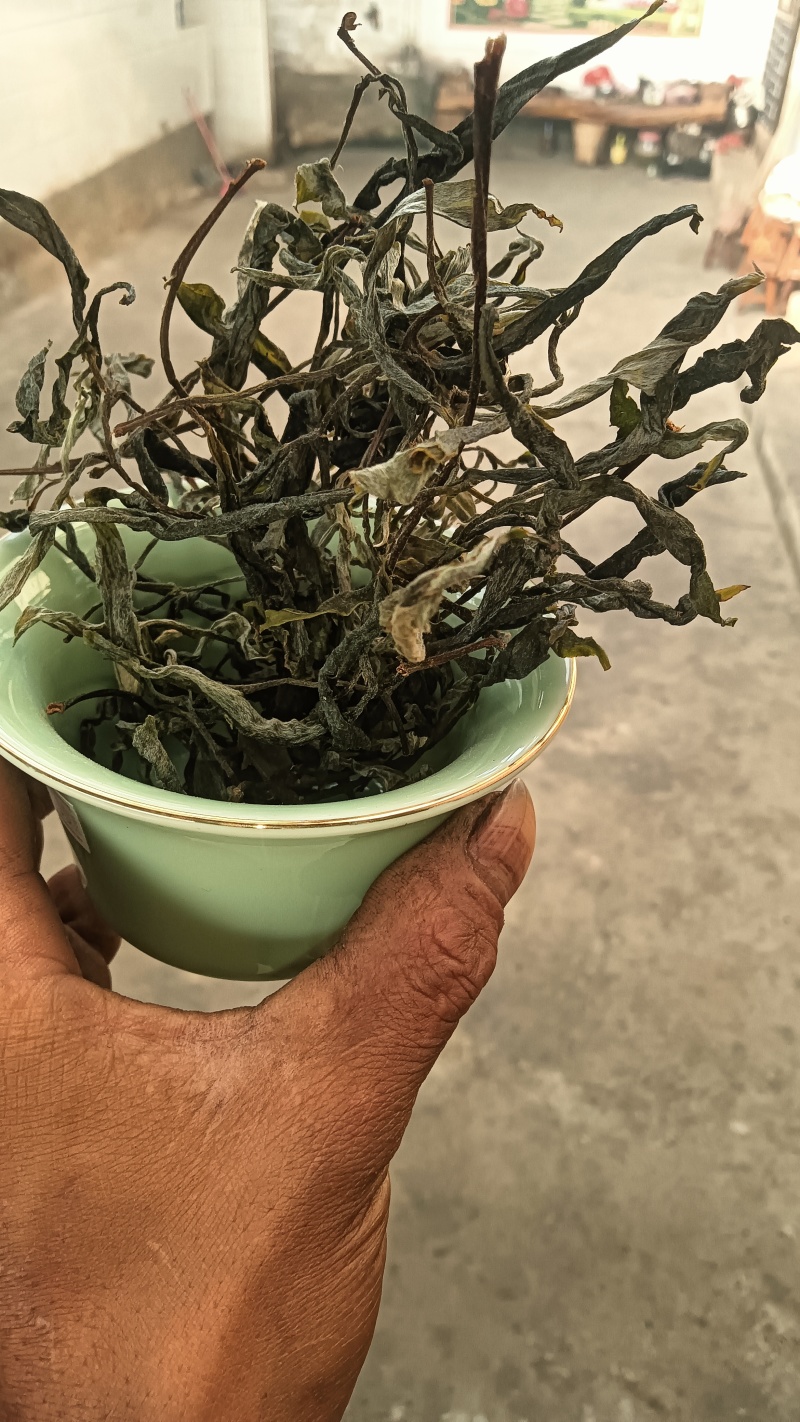 古树茶