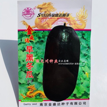 早熟黑皮冬瓜种子一代杂交早黑冬瓜种子长圆筒形果皮墨绿色