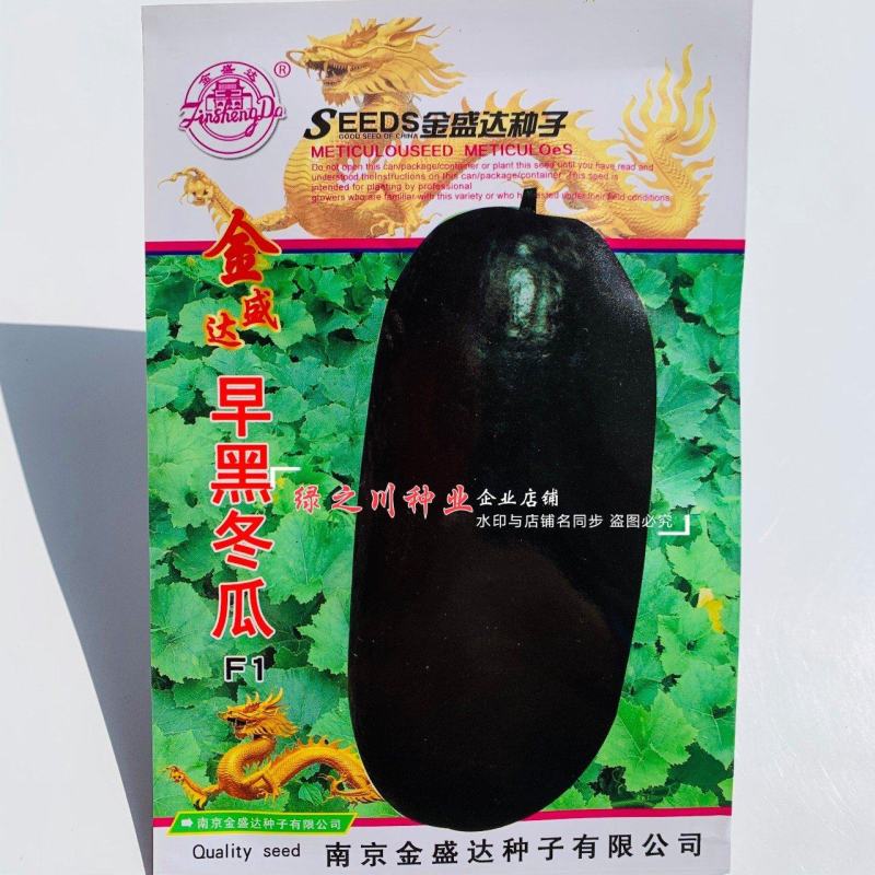 早熟黑皮冬瓜种子一代杂交早黑冬瓜种子长圆筒形果皮墨绿色