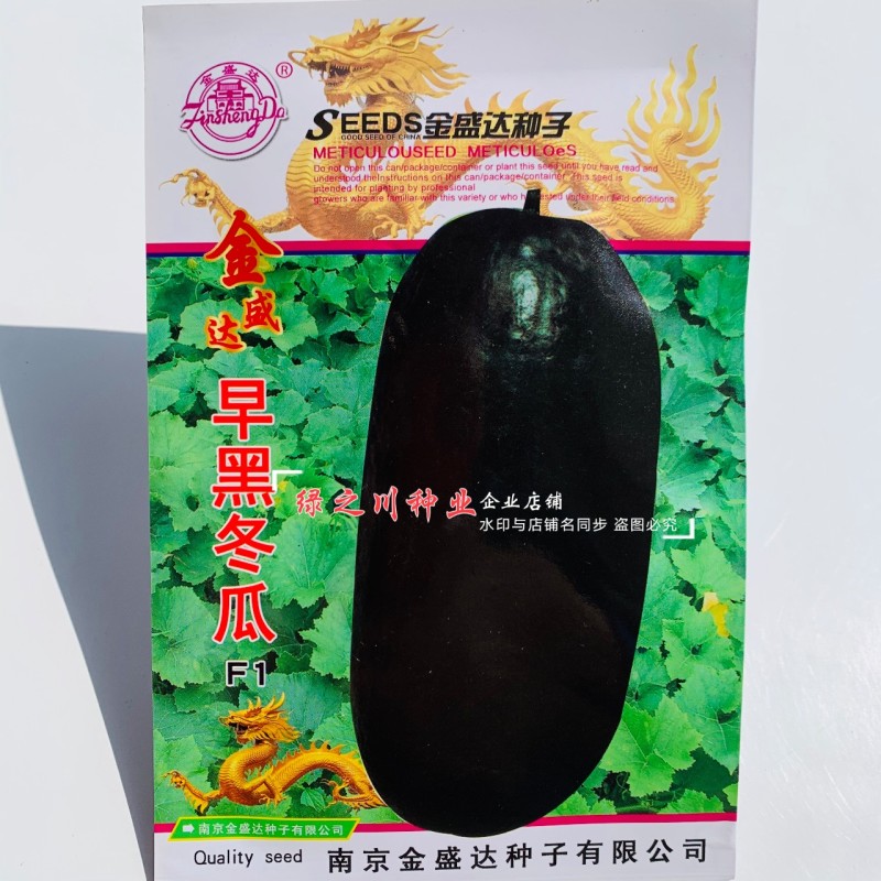 早熟黑皮冬瓜种子一代杂交早黑冬瓜种子长圆筒形果皮墨绿色