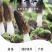 高原新鲜羊肚菌云南四野生菌菇礼盒送礼现货顺丰空运一件代发