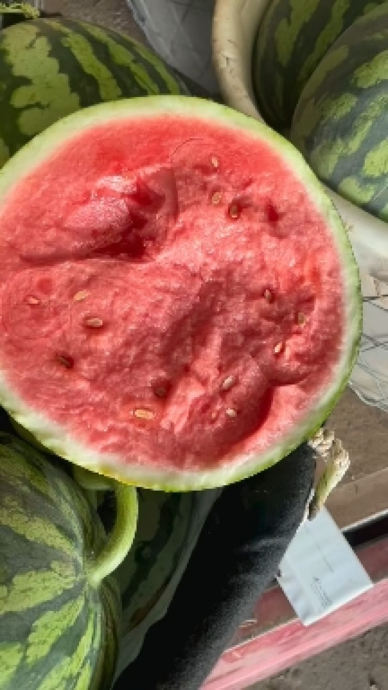 夏邑711西瓜🍉，河南美都西瓜🍉，大量有货价格不高