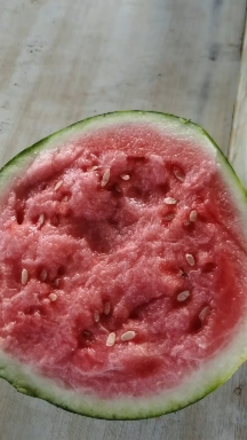 夏邑711西瓜🍉，河南美都西瓜🍉，大量有货价格不高
