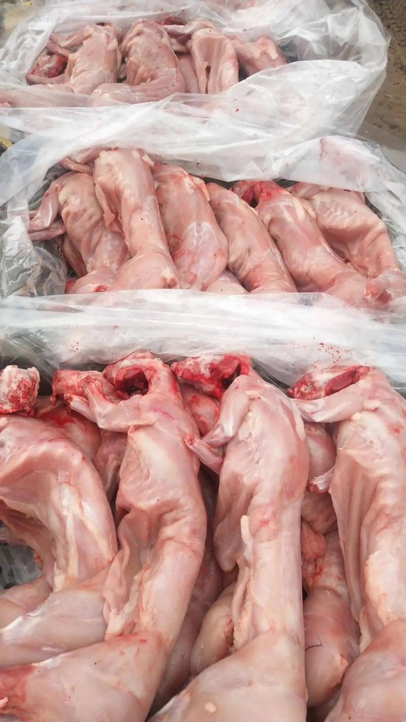 【推荐】山东兔肉一手货源质量保证诚信经营欢迎电联