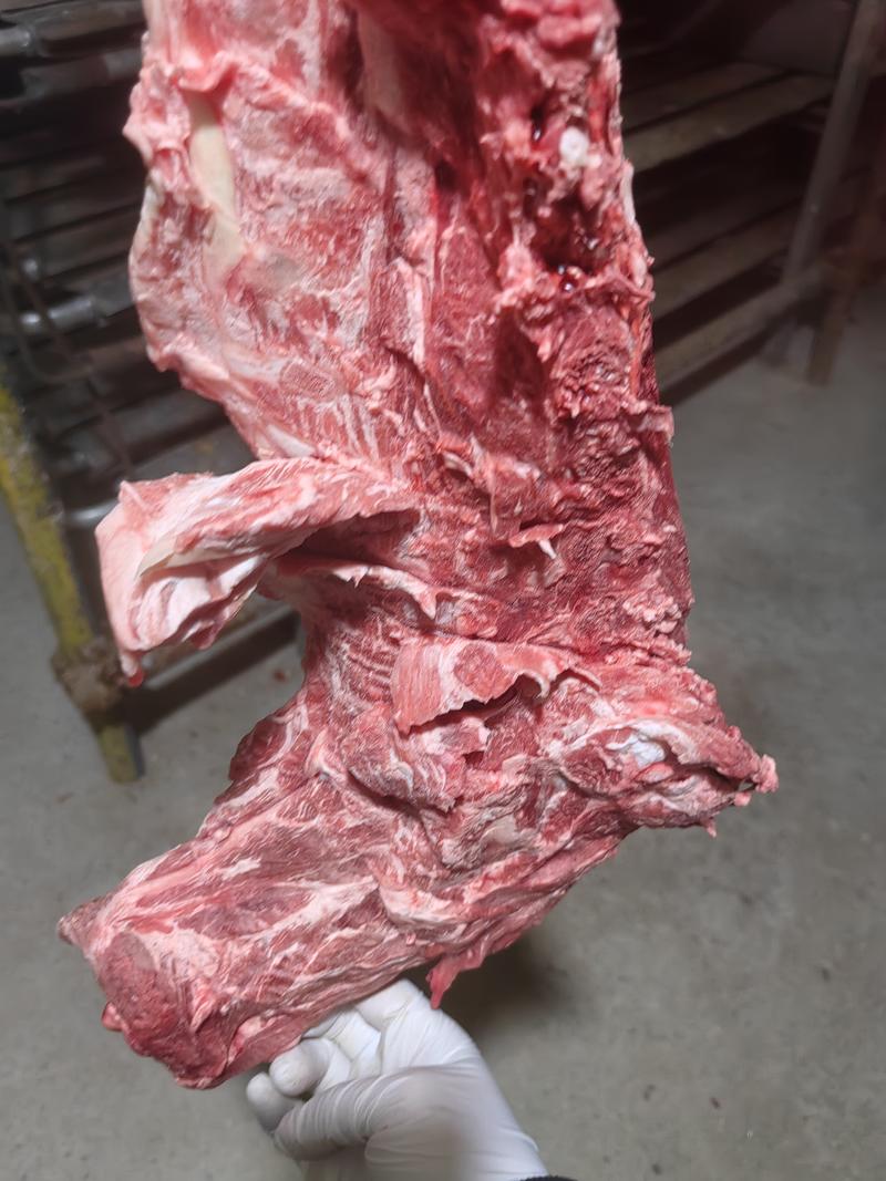 多肉羊蝎子8一斤大量现货可锯断支持样品