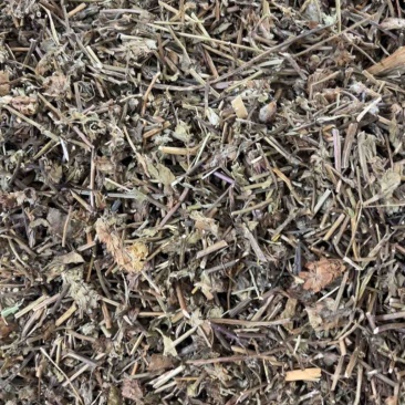 夏枯草夏枯球两种规格