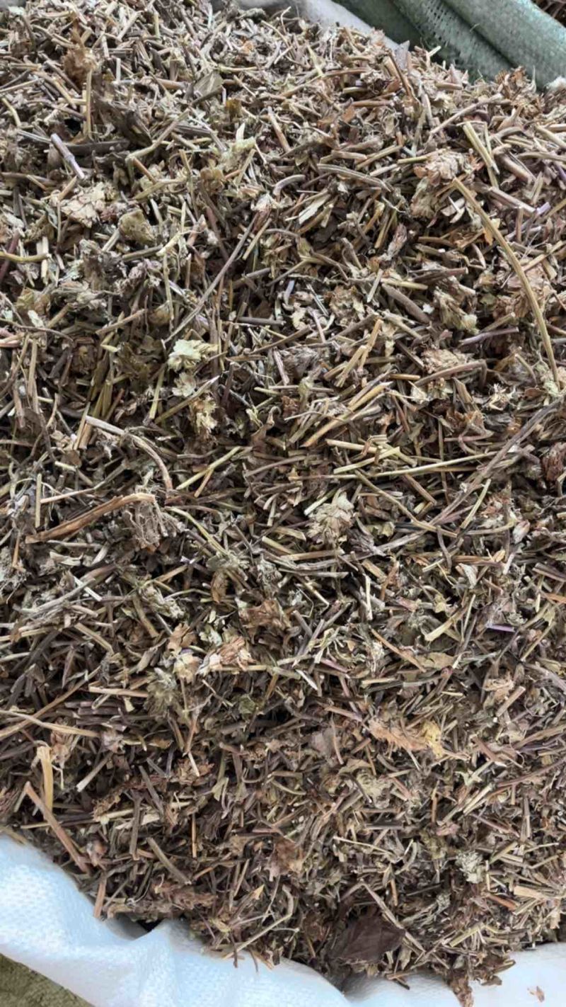 夏枯草夏枯球两种规格