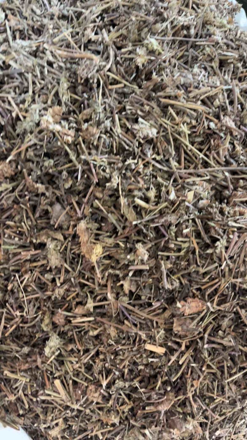 夏枯草夏枯球两种规格