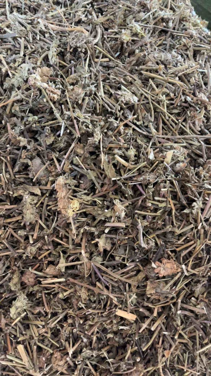 夏枯草夏枯球两种规格