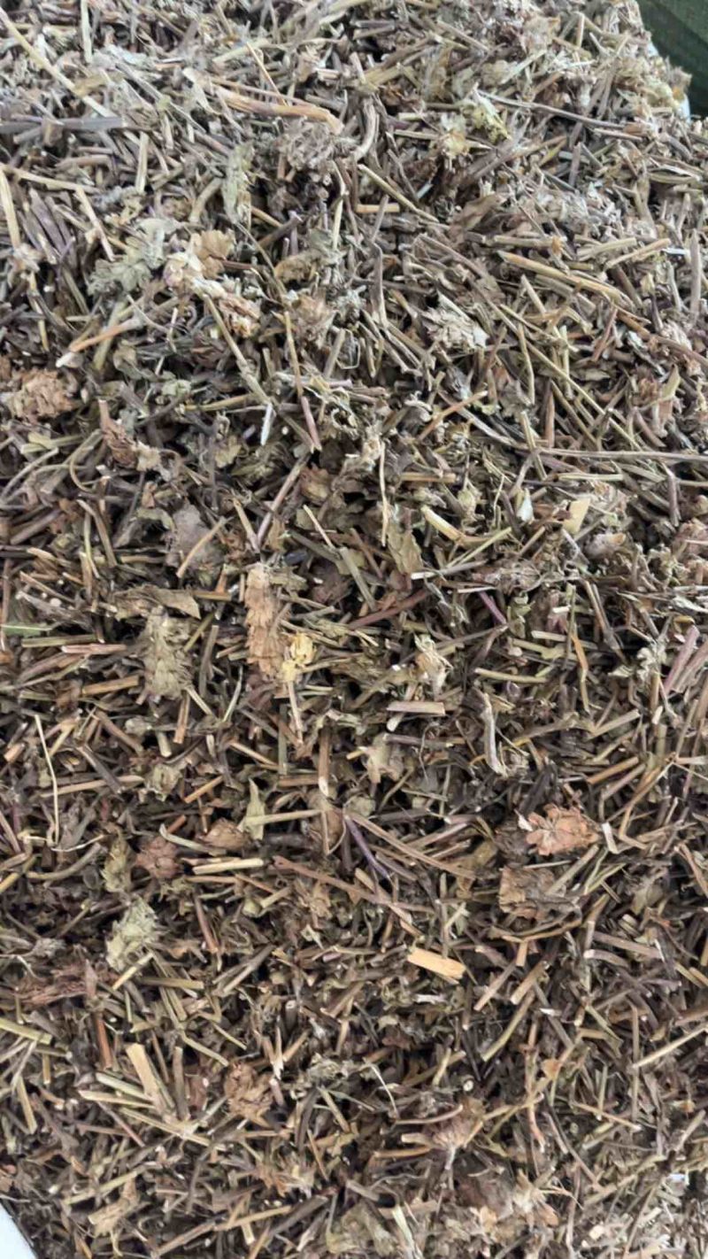 夏枯草夏枯球两种规格