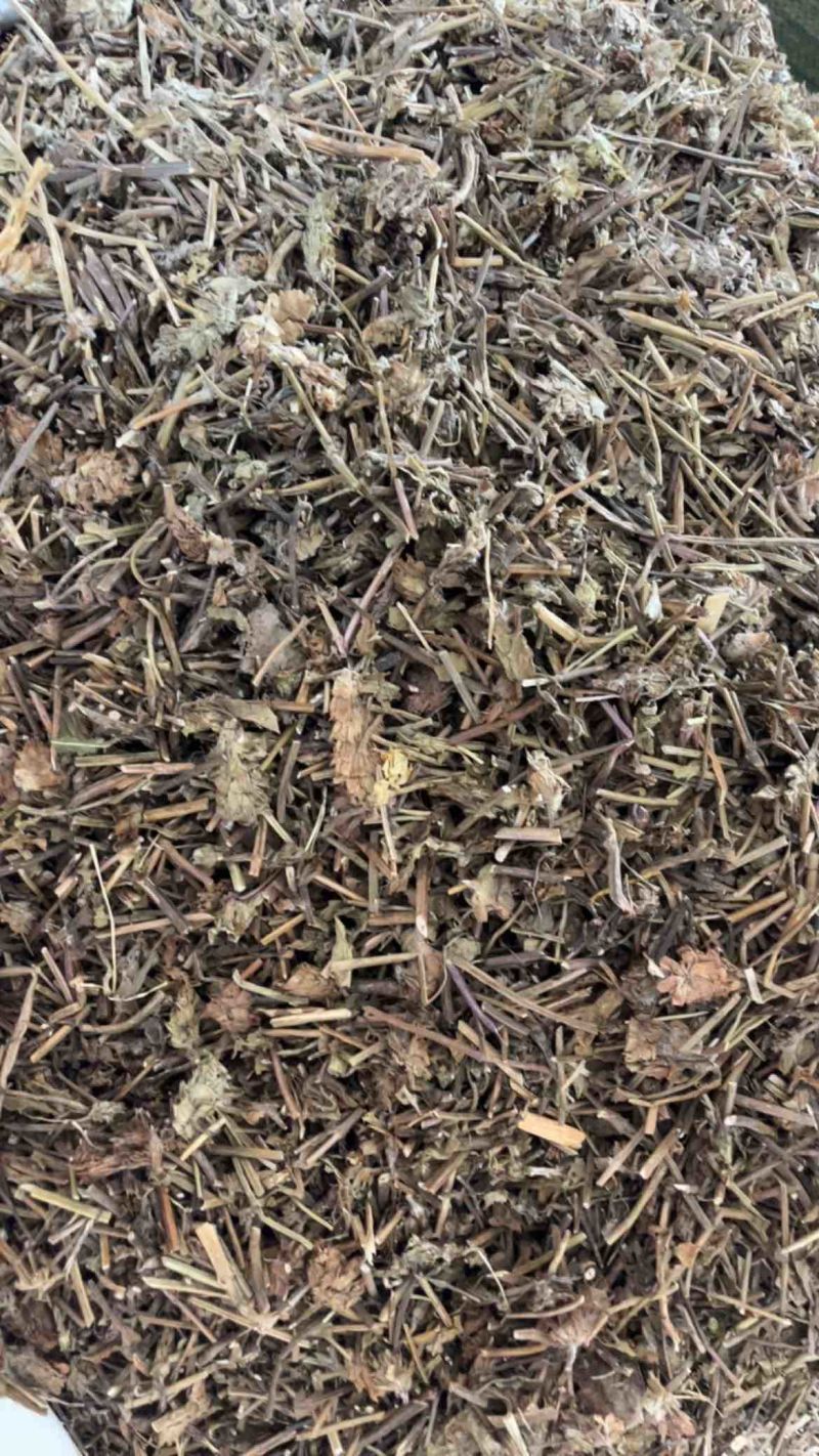 夏枯草夏枯球两种规格