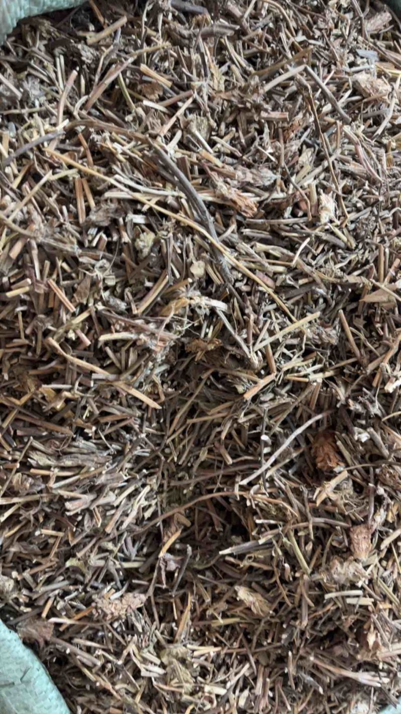夏枯草夏枯球两种规格
