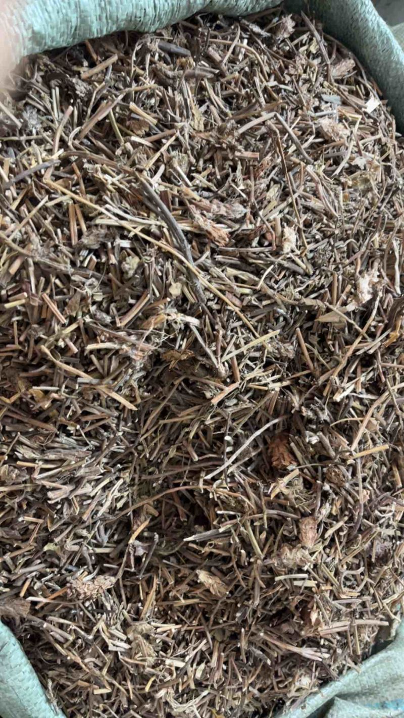 夏枯草夏枯球两种规格