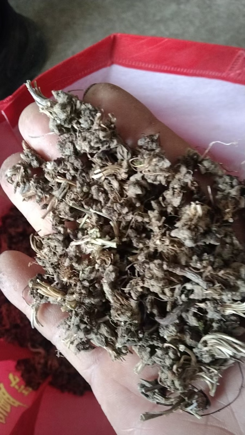 大别山野生猫爪草干货