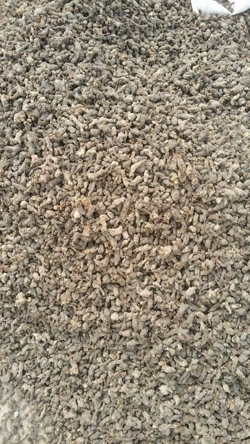 天葵子又名千年老鼠屎干货