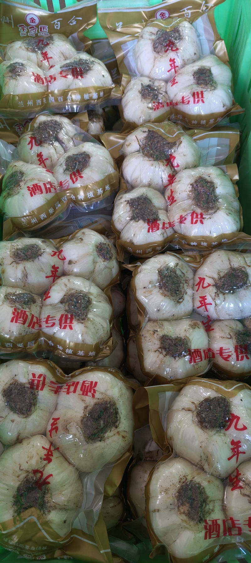 兰州鲜百合，水果百合，甜脆可口，原产地直销