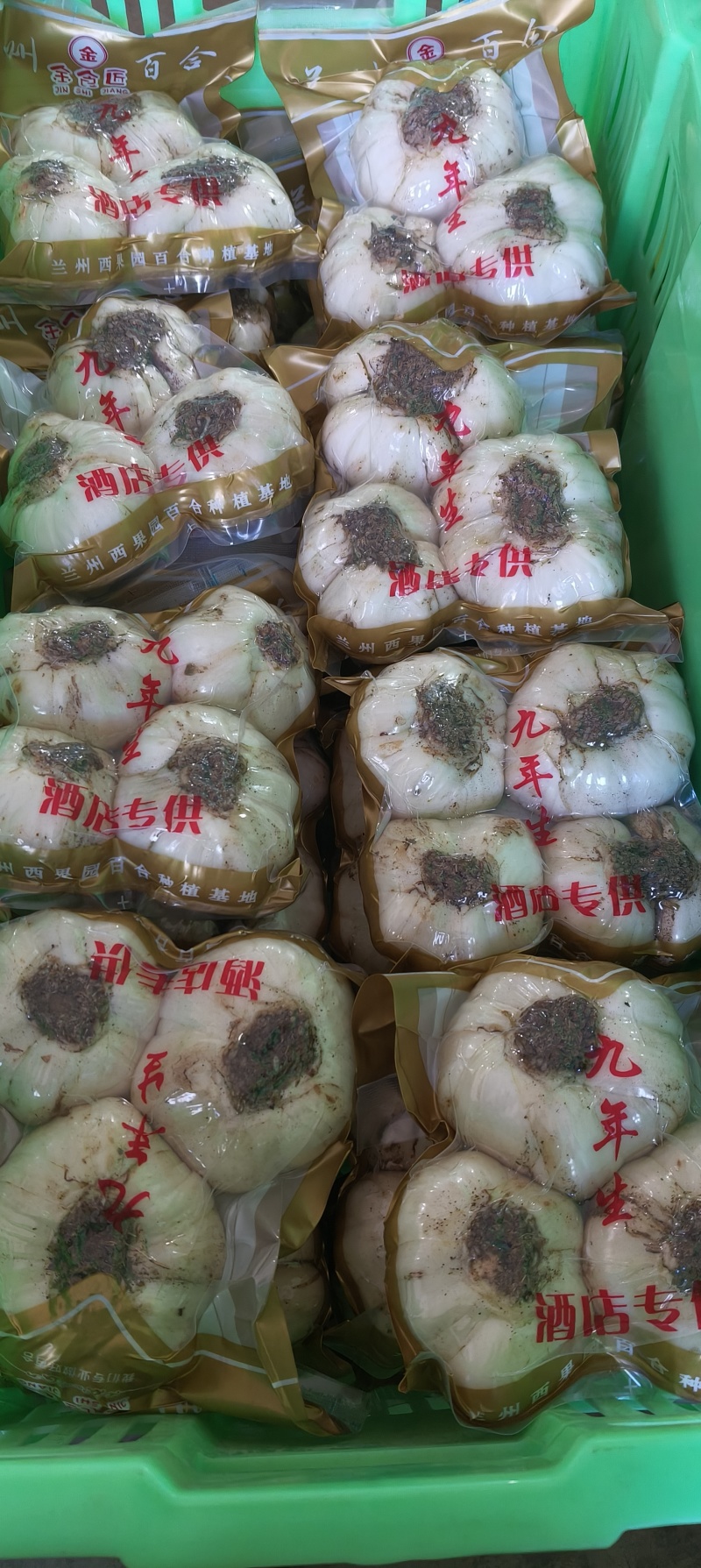 兰州鲜百合，水果百合，甜脆可口，原产地直销
