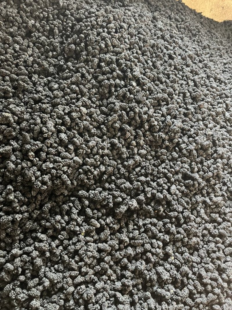 攀枝花桑葚干