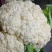 菜花，山东菏泽菜花，松花菜，大量供应，新鲜采摘量大从优