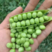 青豌豆陕西汉中豌豆大量上市颗粒饱满现采现发品质保障