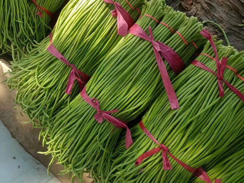 精品长豆角，现摘现发，基地直供，货源充足，价格美丽，视频看货