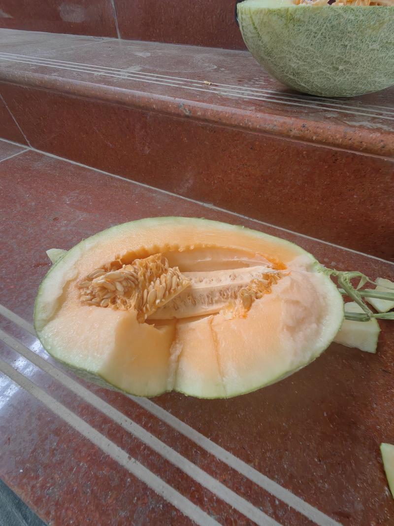 海南海沙地哈密瓜甜当季应季水果皮薄肉厚超甜