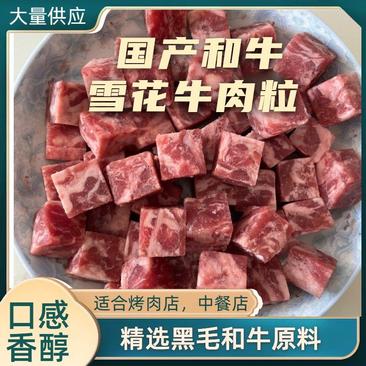 山东滨州大量供应国产和牛雪花牛肉粒工厂直发对接全国市场
