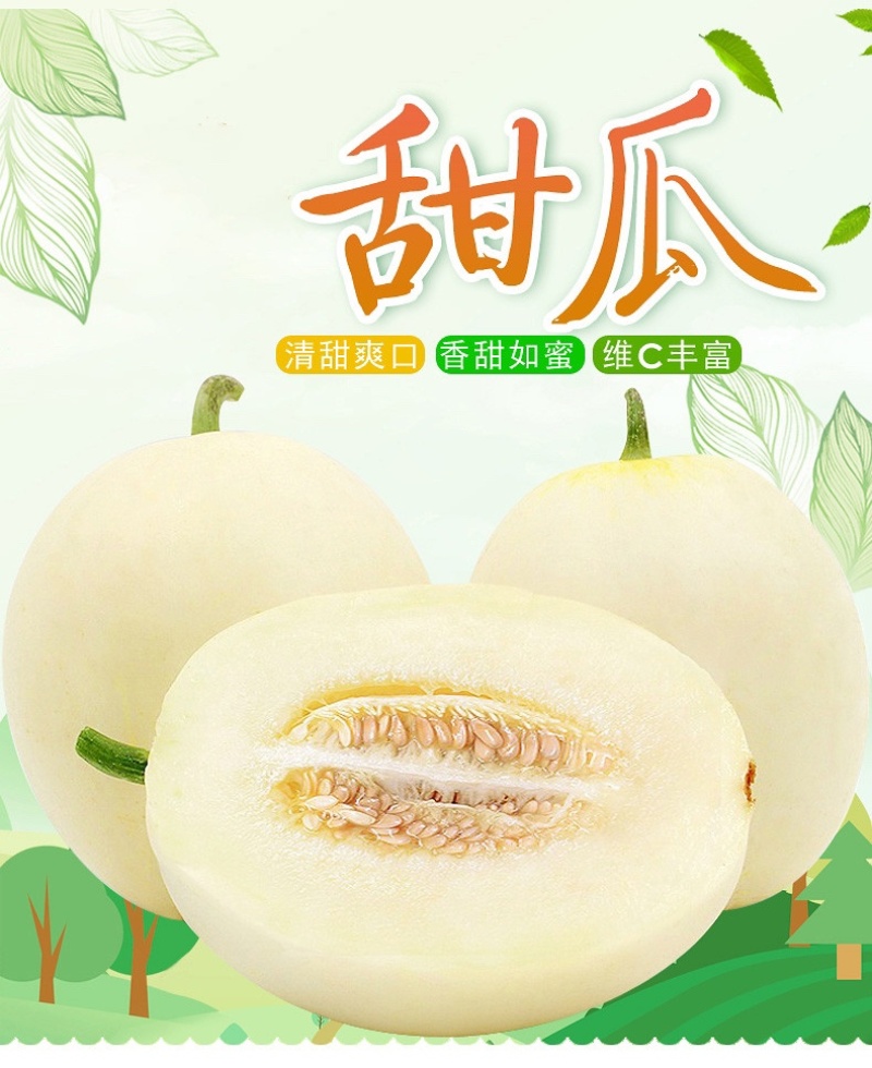 （东方蜜一号）产地大量供应：市场，电商：多多美团