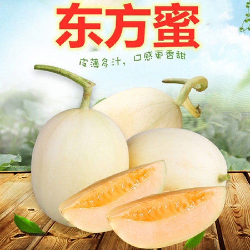 （东方蜜一号）产地大量供应：市场，电商：多多美团