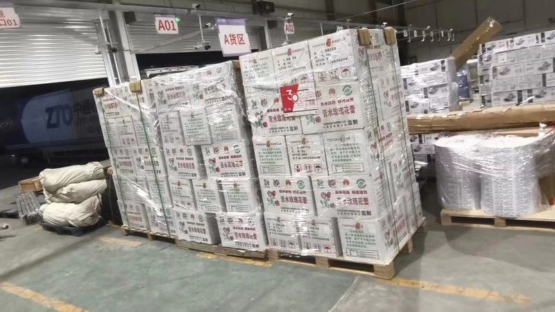 苦水玫瑰花蕾《安国》无硫品质保证常年批发量大从优