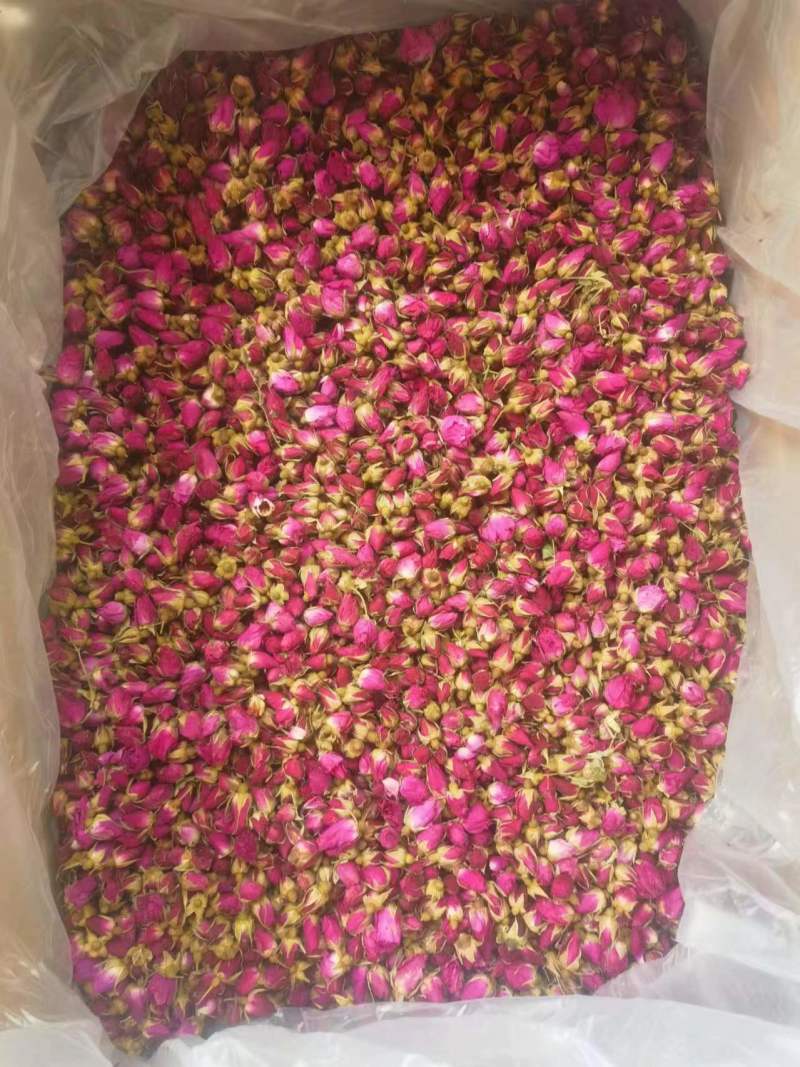 苦水玫瑰花蕾《亳州》无硫品质保证常年批发厂家直供