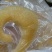 即食金钩翅即食鱼翅鲍翅源头直销工厂价无带冰私房酒店专用