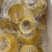 即食金钩翅即食鱼翅鲍翅源头直销工厂价无带冰私房酒店专用