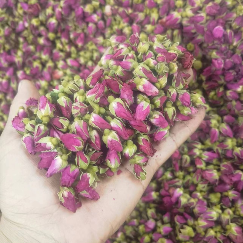 苦水玫瑰花蕾《荔湾》无硫品质保证常年批发厂家直供