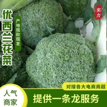 **精品西兰花，产地直发，大量供应，质量保证，视频看货