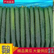 【热卖中】精品黄瓜25公分上干花带刺条形直品相好欢迎咨询
