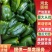 精品圆椒供应各类应季蔬菜量大货优质量保障品种齐全