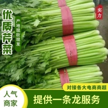 精品一手货源芹菜，基地直供，颜色好看，价格美丽，欢迎咨询。