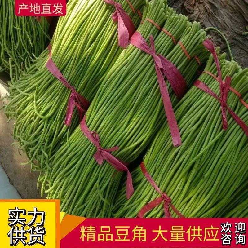 精品长豆角，现摘现发，基地直供，货源充足，价格美丽，视频看货