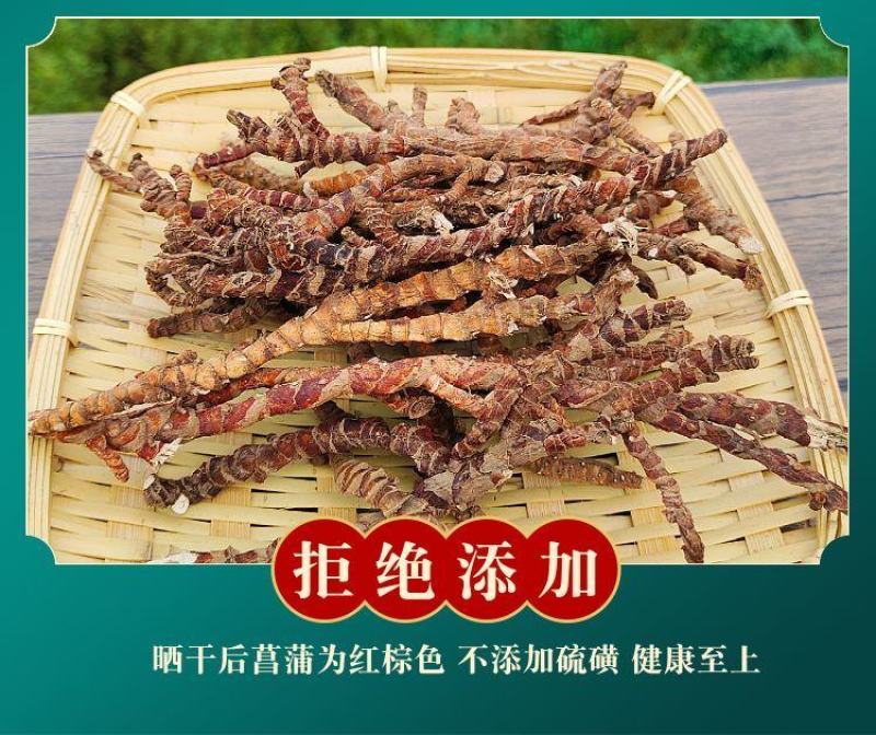 【野生石菖蒲】道地药材石菖蒲当季新货多规格可选包邮