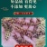 【野生石菖蒲】道地药材石菖蒲当季新货多规格可选包邮