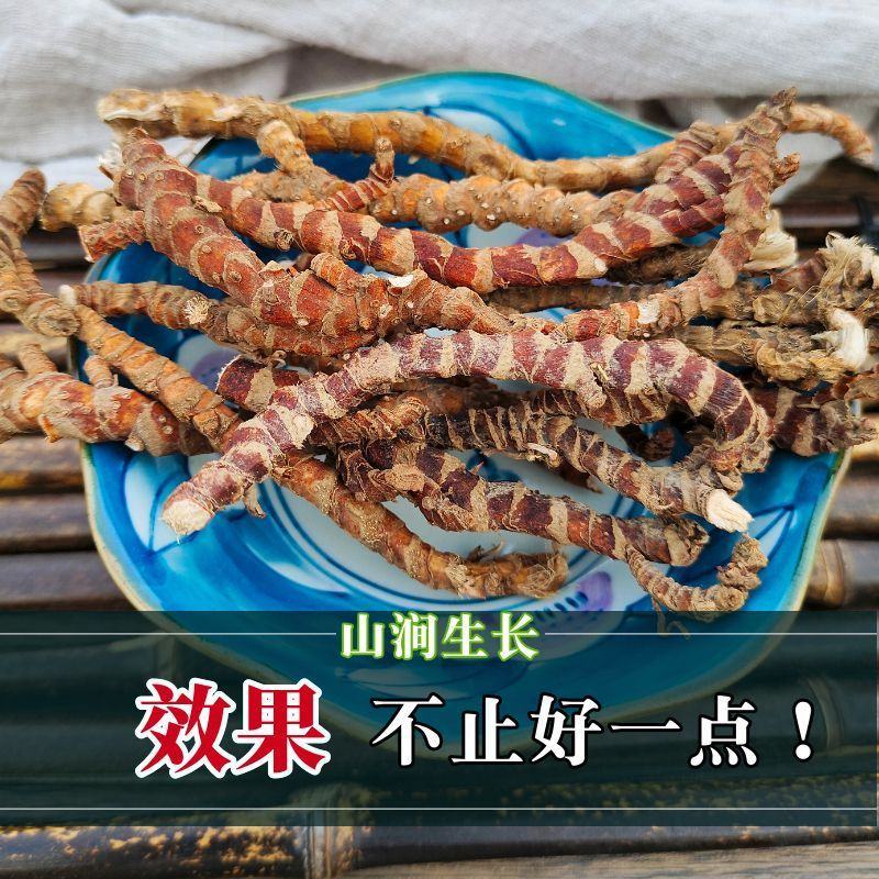 【野生石菖蒲】道地药材石菖蒲当季新货多规格可选包邮