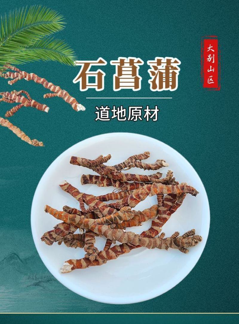 【野生石菖蒲】道地药材石菖蒲当季新货多规格可选包邮