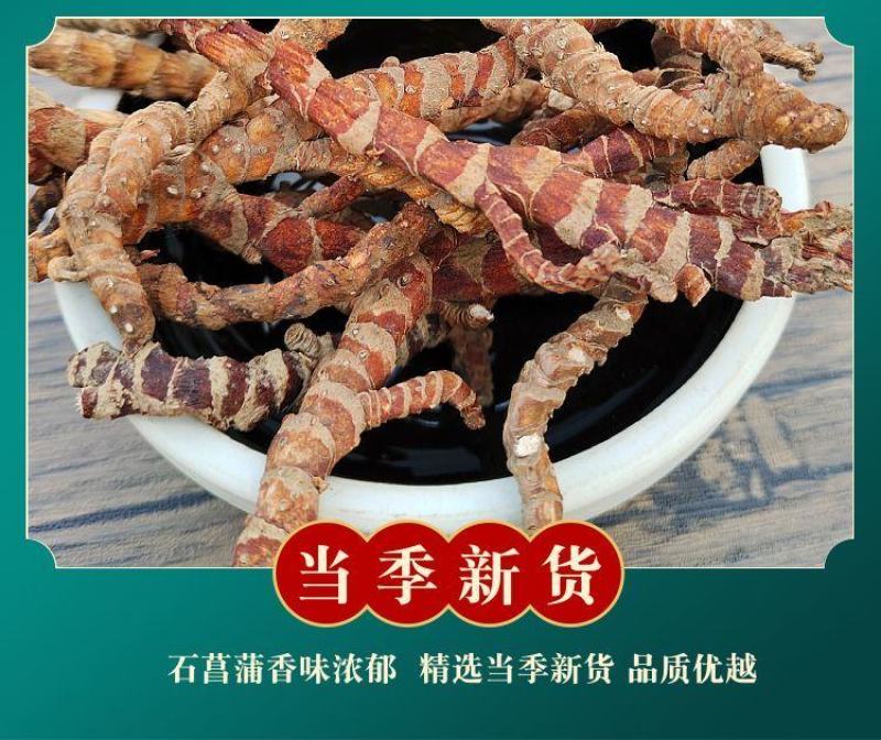 【野生石菖蒲】道地药材石菖蒲当季新货多规格可选包邮