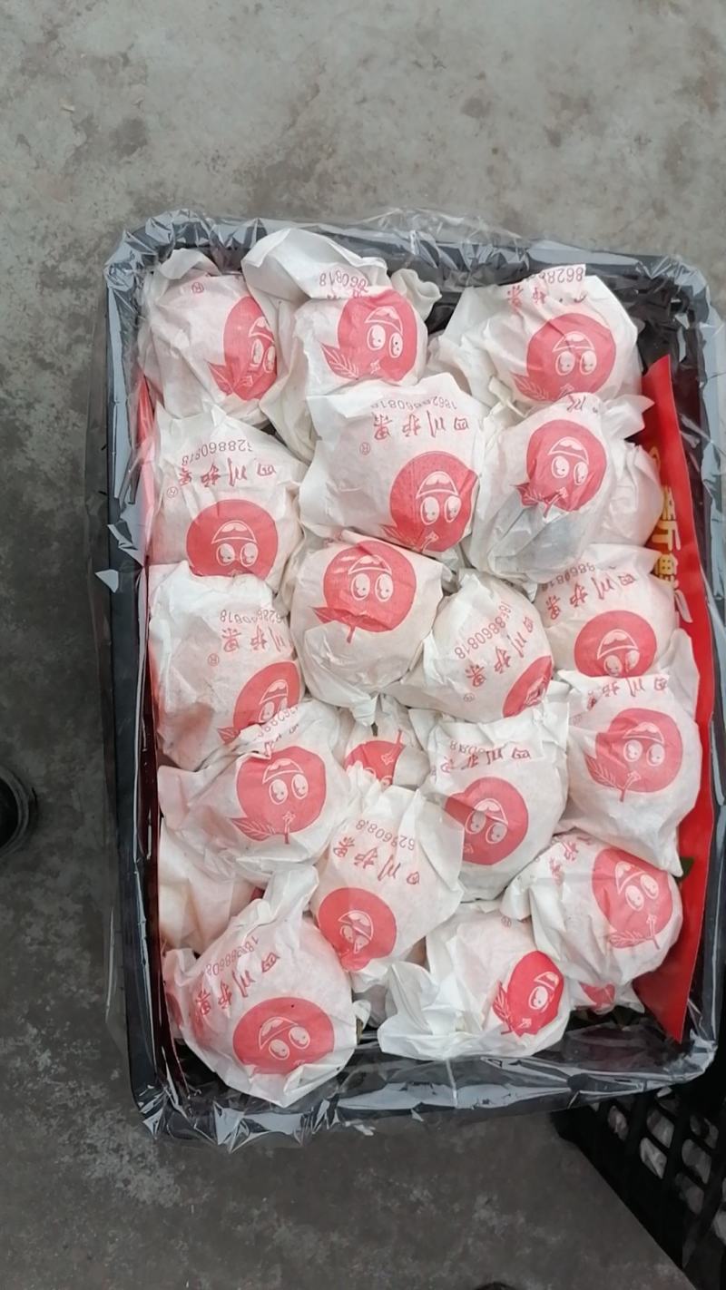 仁寿耙耙柑纯甜。