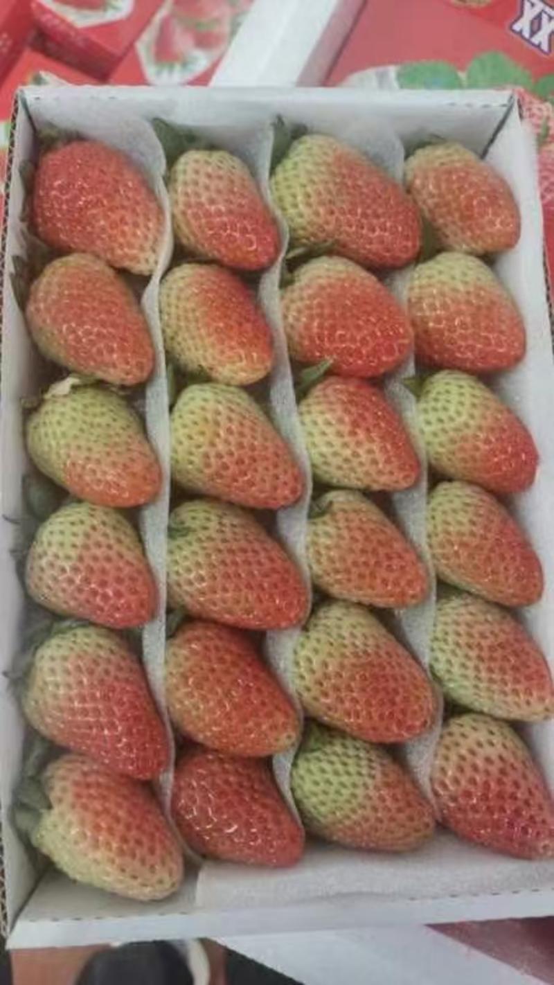 云南草莓