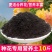 《推荐》营养土，厂家供应，用于瓜果蔬菜，花卉苗木量大从优