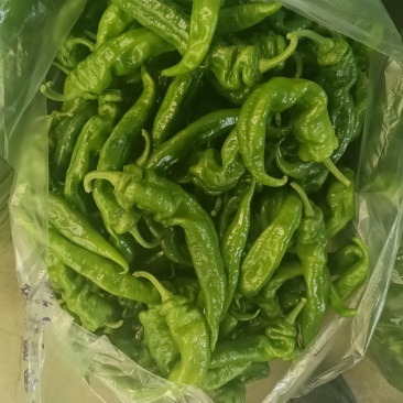 螺丝椒