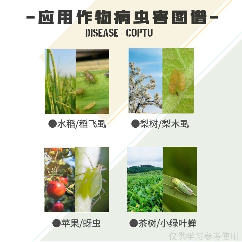 沪联歼飞80%烯啶虫胺吡蚜酮水稻飞虱蚜虫老牌子杀虫剂农药