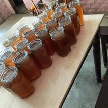 江西吉安优质野蜂蜜土蜂蜜，百花蜜，采自深山野蜂，欢迎购买